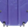 Bobelock 2000W Fiberglass Blue/Gray 4/4 Cello Case with Wheels
