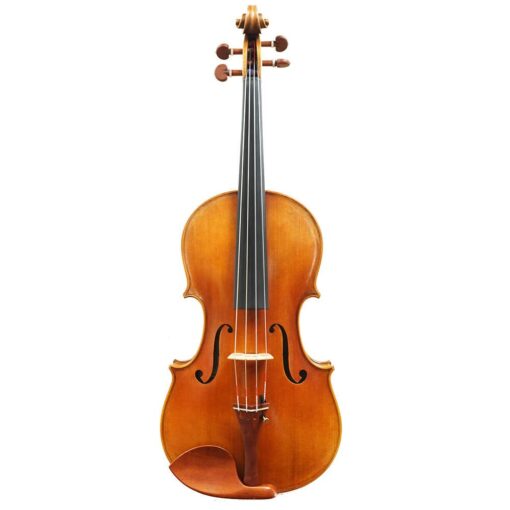 Aldo Romano Advanced Violin
