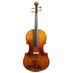 Dario Giovanni Violin