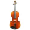Sandro Luciano Tertis Model 16" Viola
