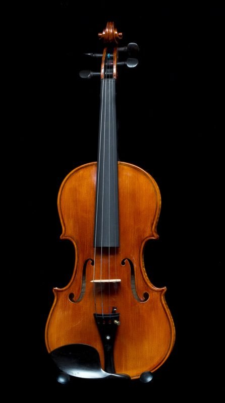 Sheng Liu #6 4/4 Violin