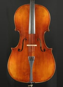 Snow Model SC400 4/4 Cello