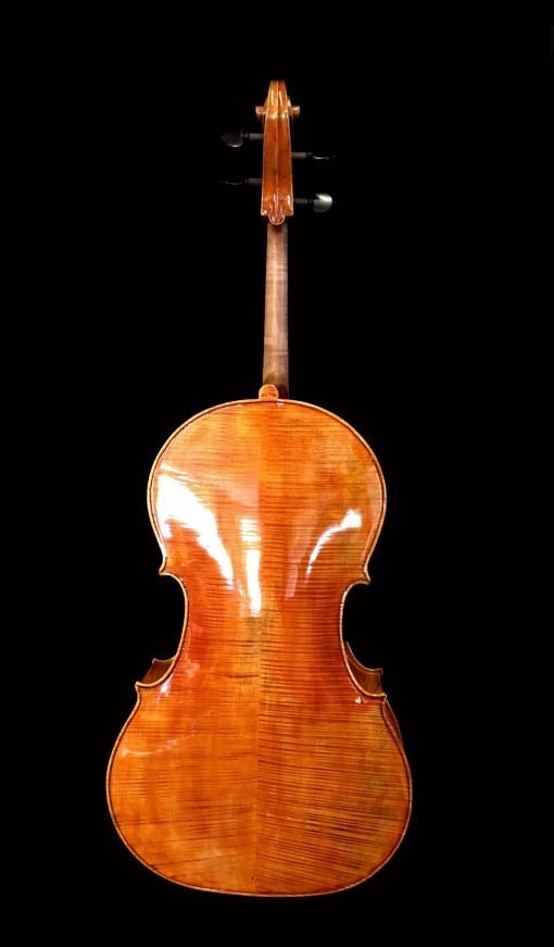 Pawel Migiel Cello Back