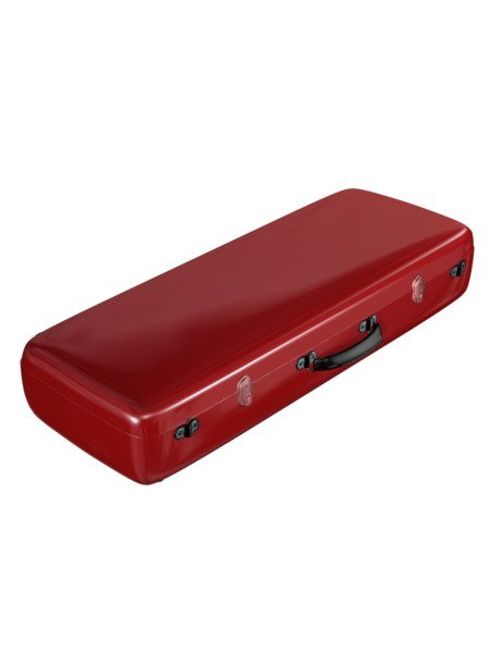 Accord Oblong Violin Case