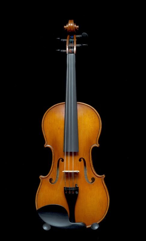 Andrzej Swietlinski LE Strad Model Master Violin