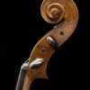 Calin Wultur Apprentice Cello
