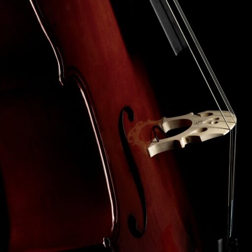 Fishman C-200 Concert Series Cello Pickup Installed
