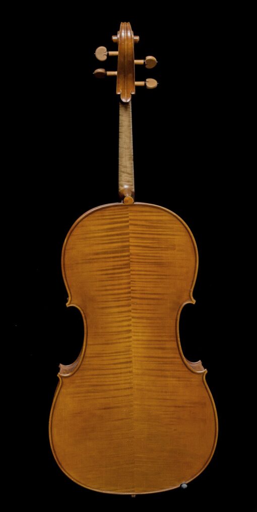 Jan Szlachtowski Workshop Model Cello Back