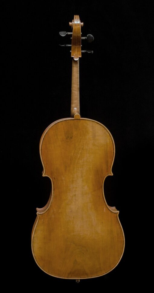 Jan Szlachtowski – Guadagnini Model Cello Back