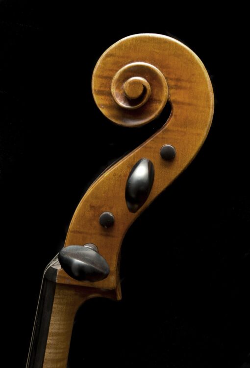 Jan Szlachtowski – Guadagnini Model Cello Scroll