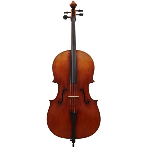 MingJiang Zhu 4/4 Cello