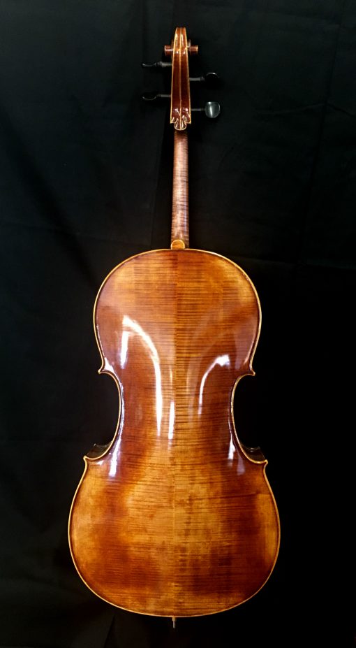 Tomasz Kowalski Cello Back