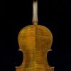 Calin Wultur #6 Viola