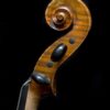 Calin Wultur #6 Viola