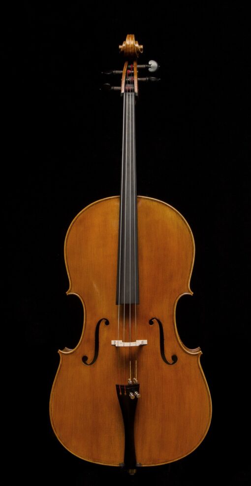 Calin Wultur Montagnana #7 L.E. Cello