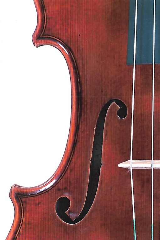 Scrollavezza & Zanre Violin