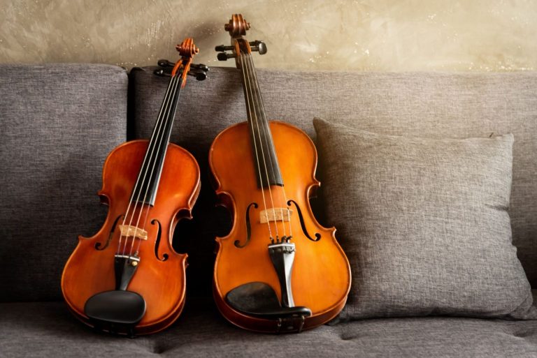 Difference Between Cello and Violin Evergreen